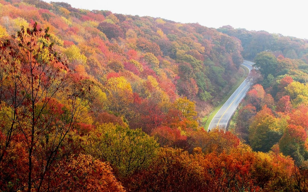 America’s Most Spectacular Fall Road Trips: 5 Routes Where Autumn Comes Alive