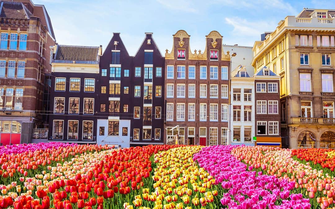 Must-See Places to Enjoy on a Family Trip to Amsterdam