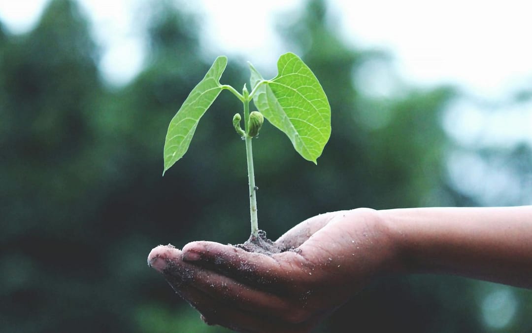 Your Personality May Change Day to Day More Than You Realize