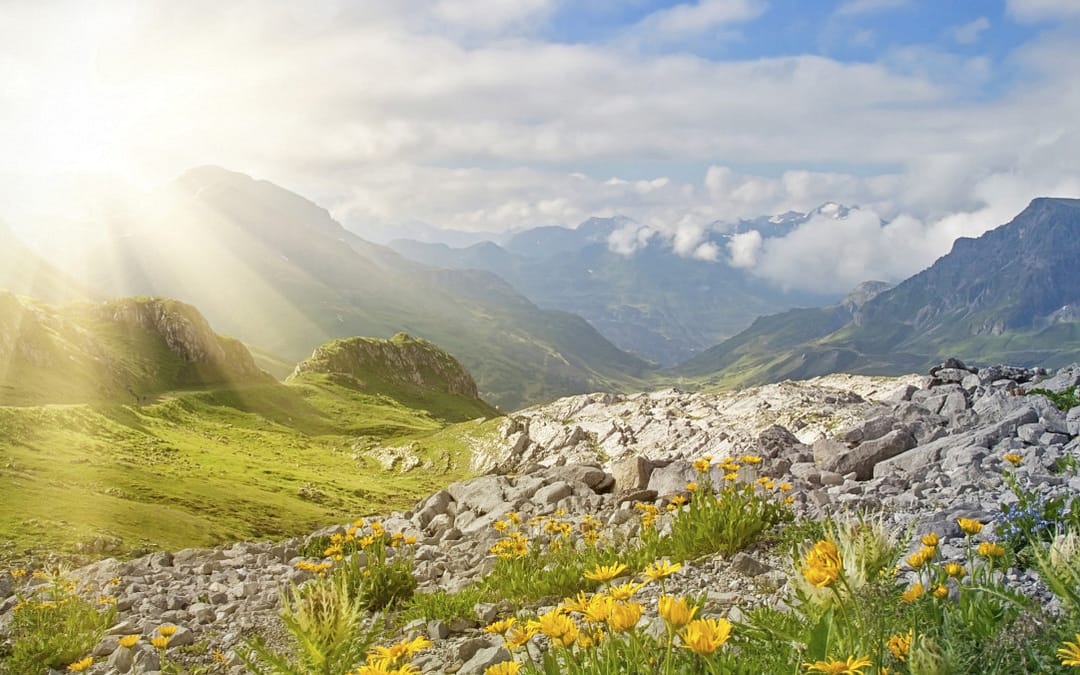 Book Review: This Is Your Brain On Nature