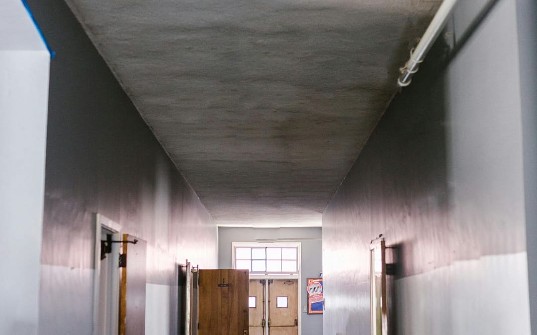 Troubled Teens and Online Radicalization