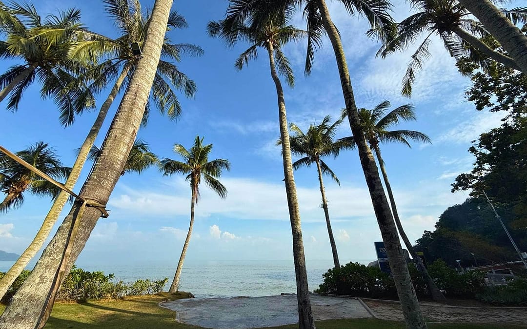 Penang Travel Guide: Exploring the Pearl of the Orient