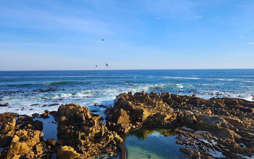 Why Sea Point Is THE Spot to Stay in Cape Town