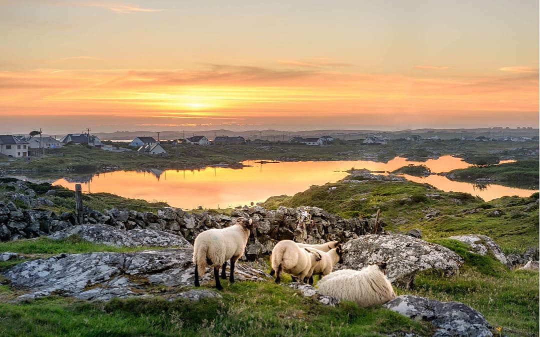 Ireland’s Sky Road Drive: A Complete Guide to Connemara’s Most Stunning Coastal Route