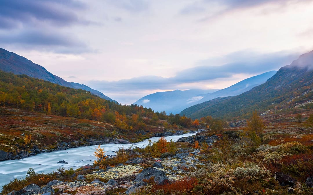 Lost in the Fjords: Finding Myself Through Her Eyes