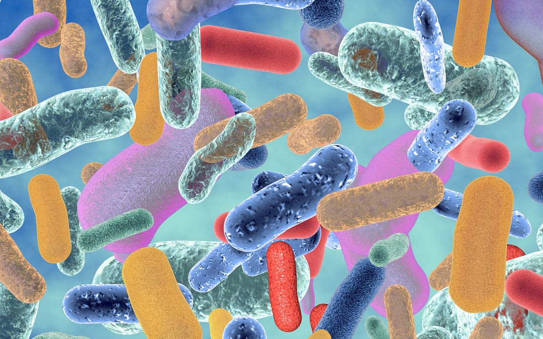 WHO Warns of Widespread Resistance to Common Antibiotics Worldwide