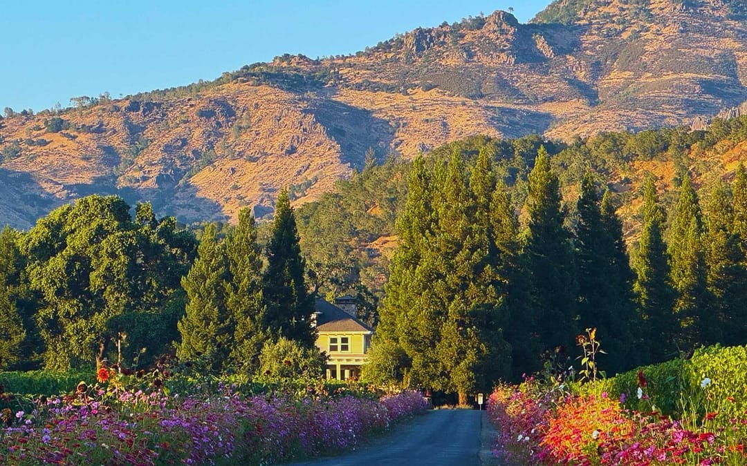 Make Yountville Your Next Napa Valley Getaway