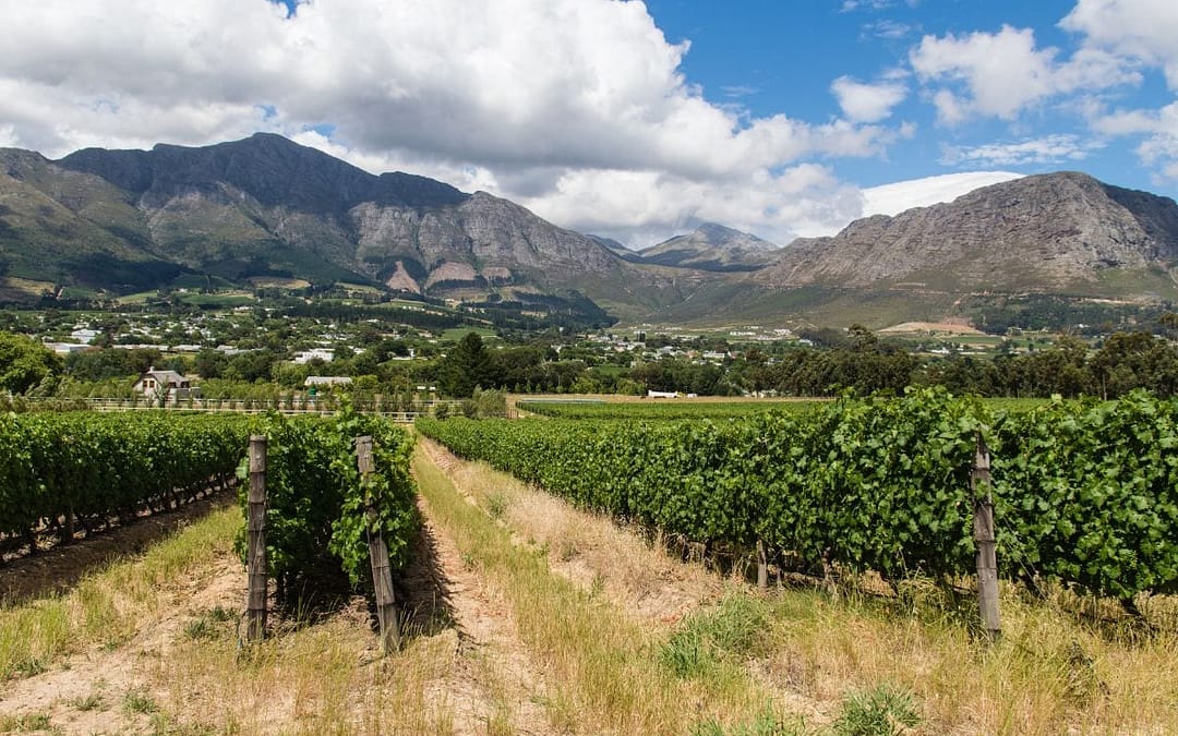 Paarl: South Africa’s Secret Winelands Escape Where You Can Stay in Historic Wine Tanks