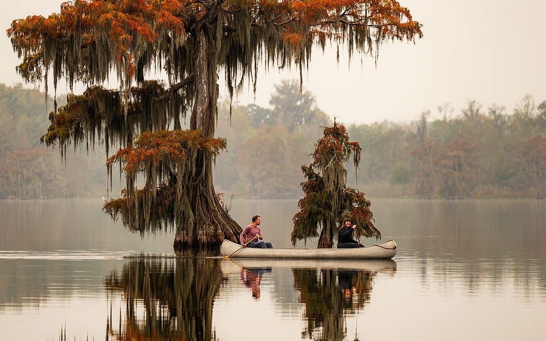 Fall in Lafayette Lousiana