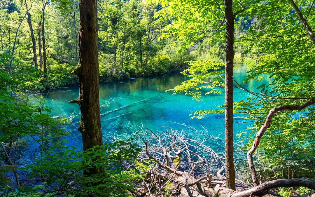 Croatia’s Best National Parks: From Plitvice’s Waterfalls to Kornati’s Island Maze