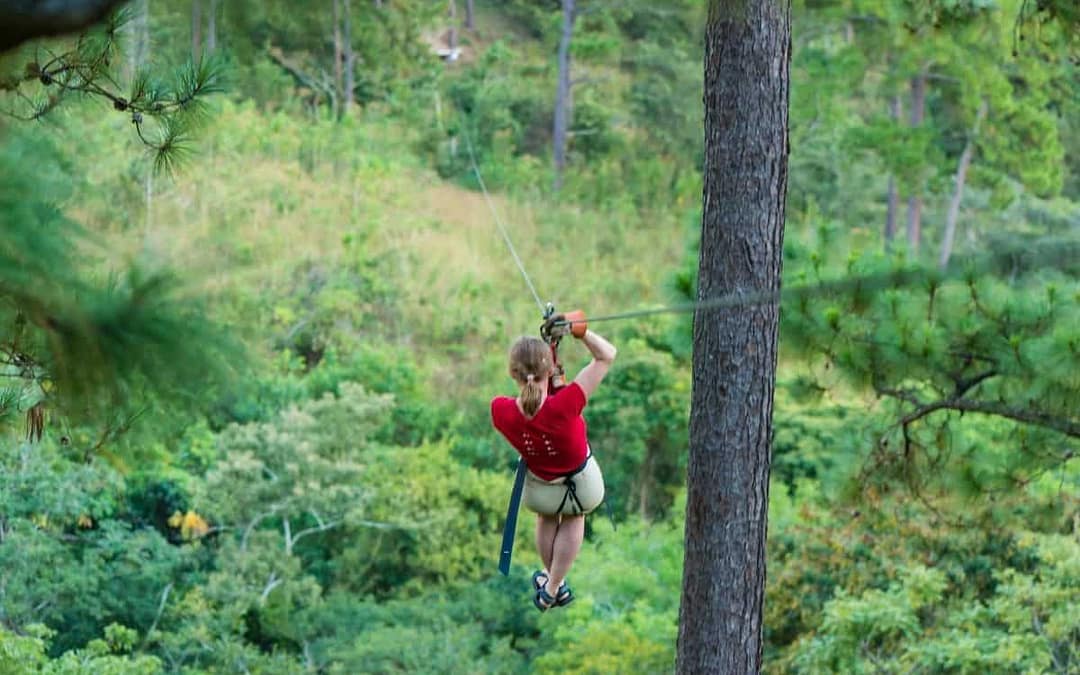 Soaring Through the Treetops on Camano Island’s Hidden Zipline Course