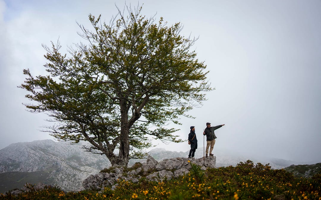 How We Build a Trip