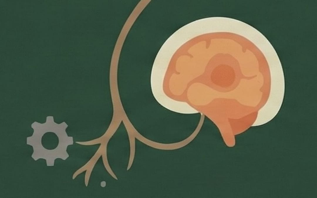 Depression Could Be Linked to Your Immune System
