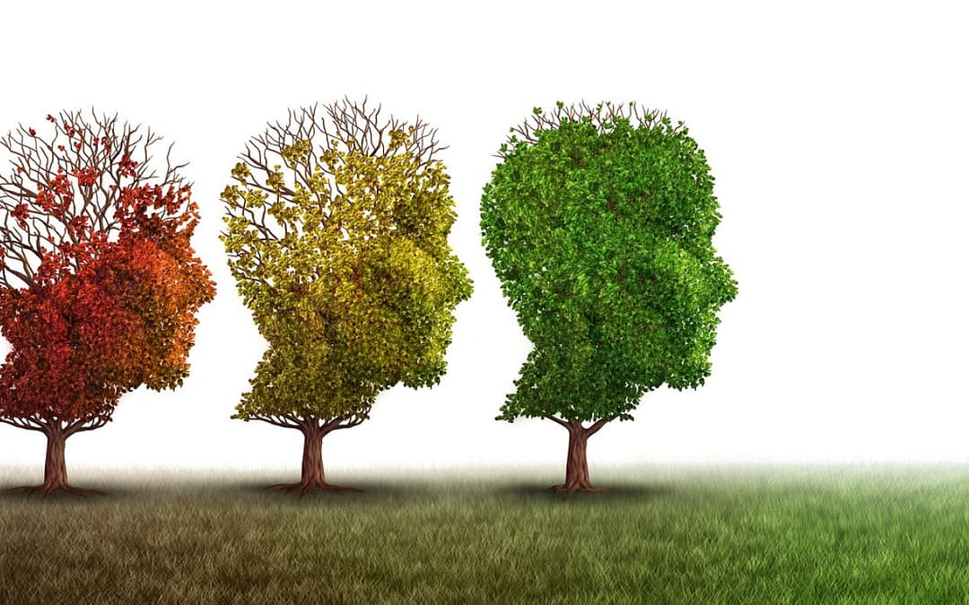 New Study Shows “Teen” Brain Development Continues to Age 32