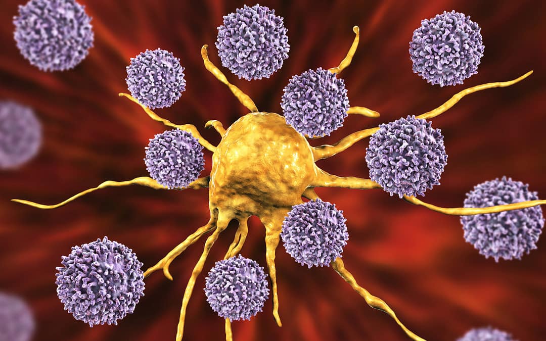 Preoperative Radiation May Improve Antitumor Immune Response in Most Common Form of Breast Cancer