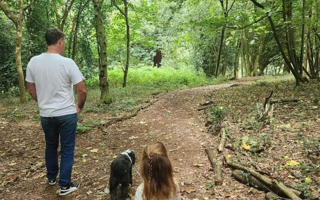 How Pet Sitting Can Help You Travel: Exploring Free Accommodation Through Trusted Housesitters