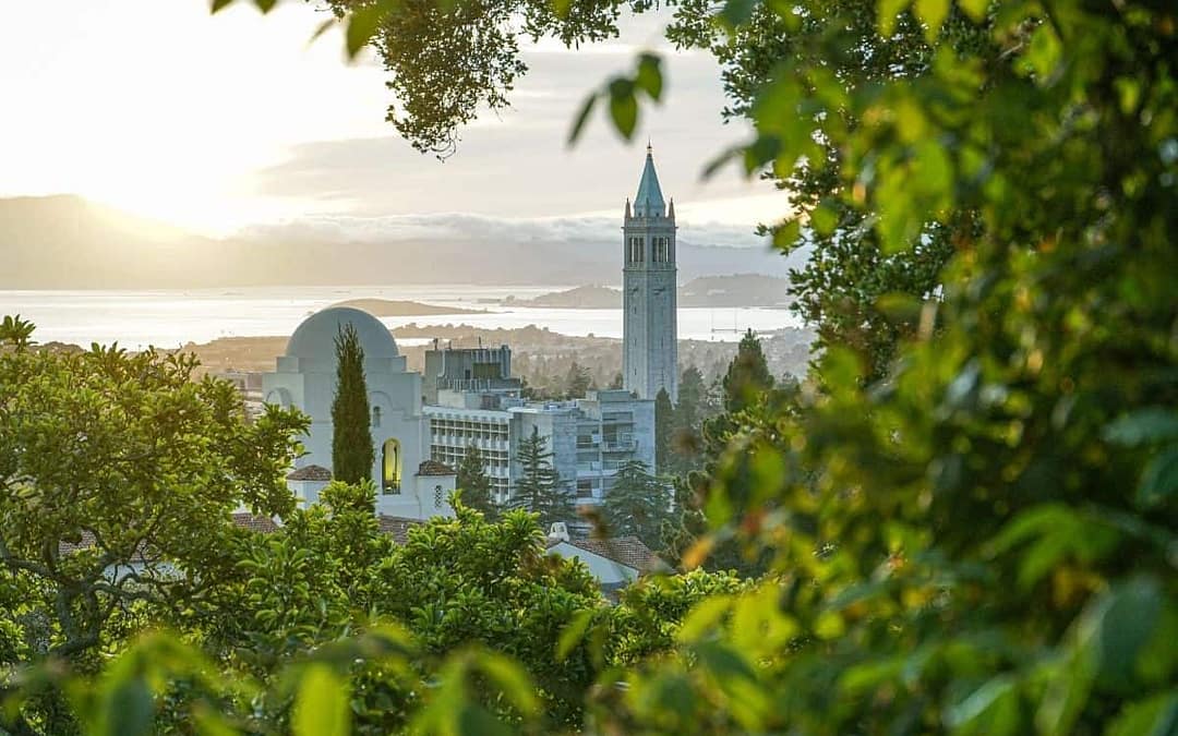 10 Fun and Delicious Things to Do in Berkeley, California