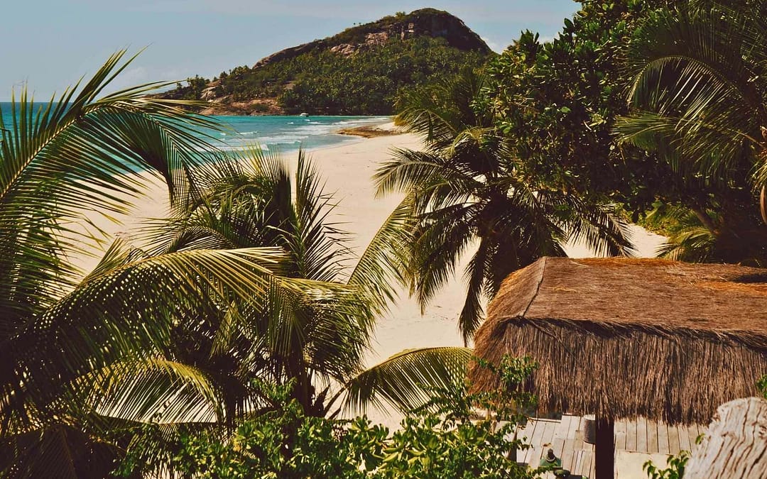 Seychelles: Coco de Mer and Conservation‑Led Luxury
