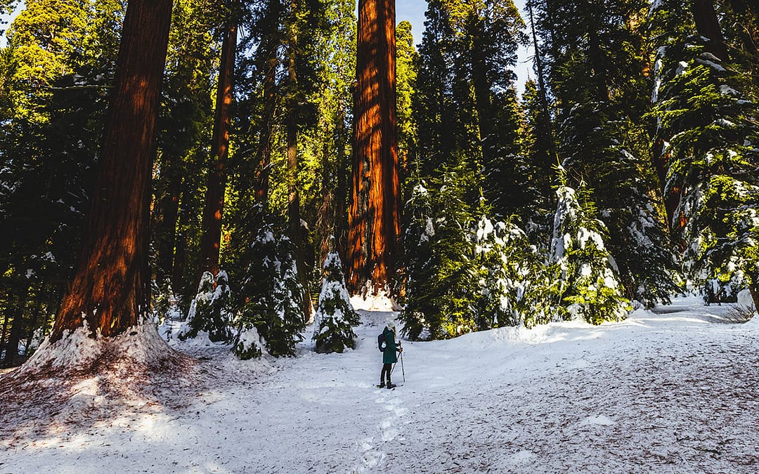 Fresno County: Not What You Thought, Just What You Needed