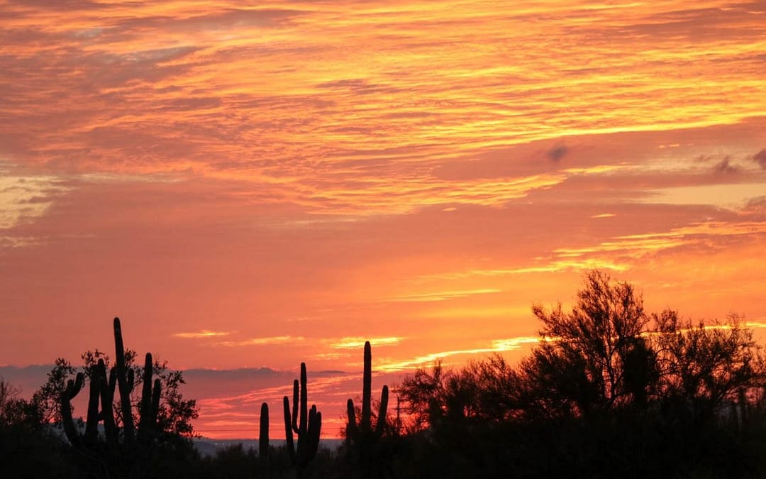 From Flamboyant Sunsets to Foodie Faves: The Best of Scottsdale