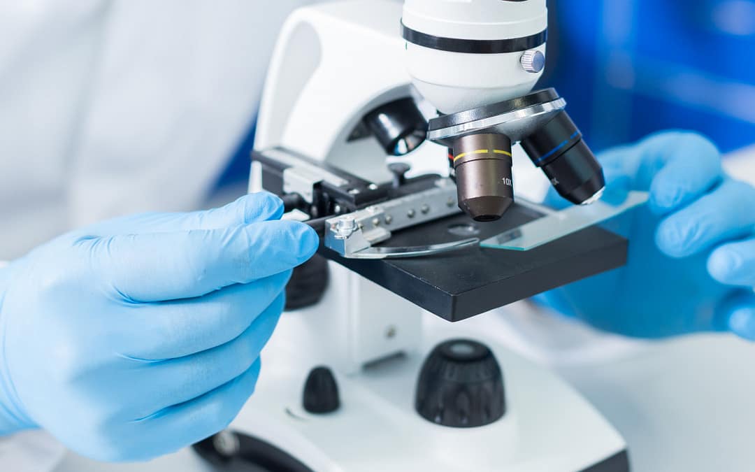 Health Department Ends Research Using Fetal Tissue From Abortions