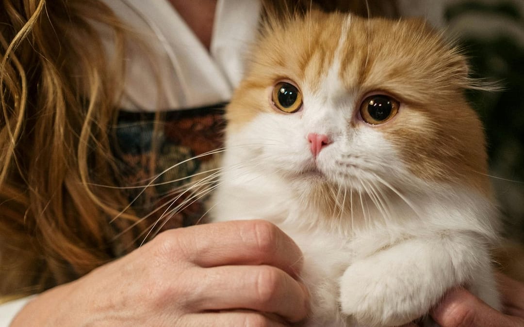 Do Pets Make Their Owners Happy? New Study Says They Do Not