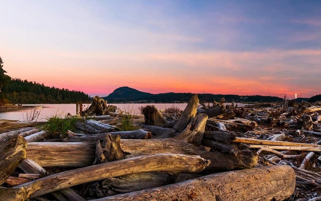 Just 27 Miles from Seattle, This Washington Island Feels Like Another World