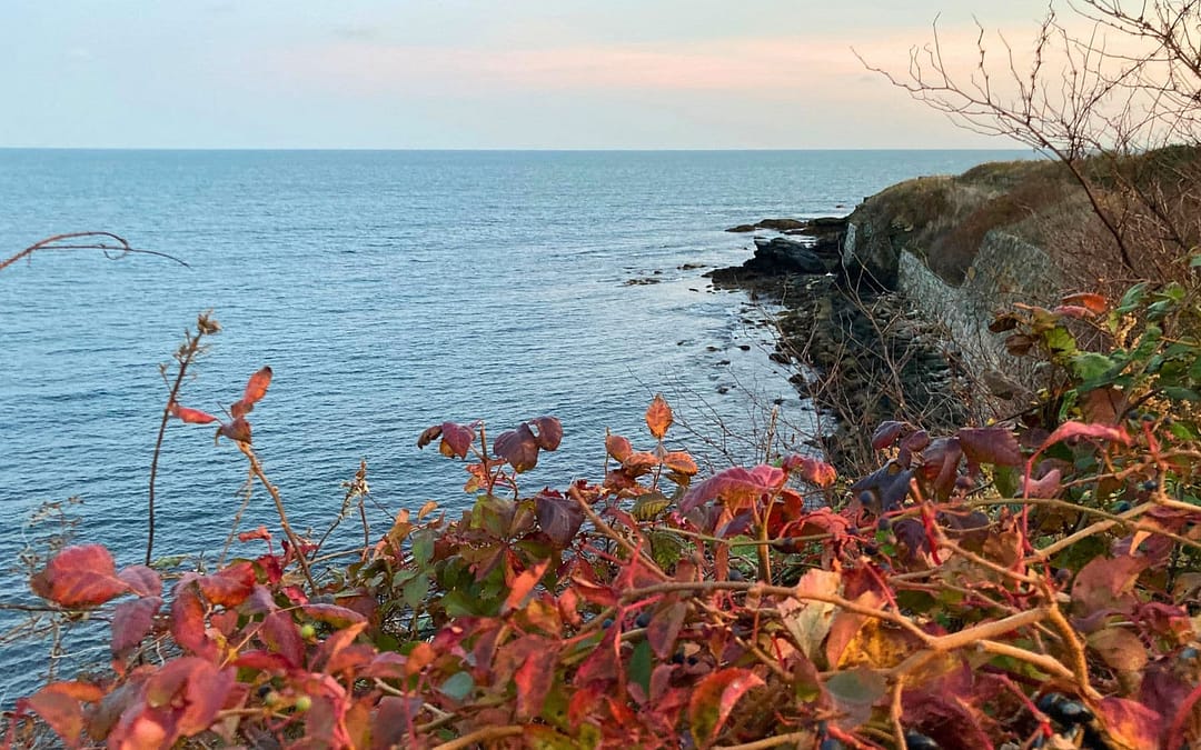 Breakers & Beyond: Top 10 Things To Do in Newport, Rhode Island