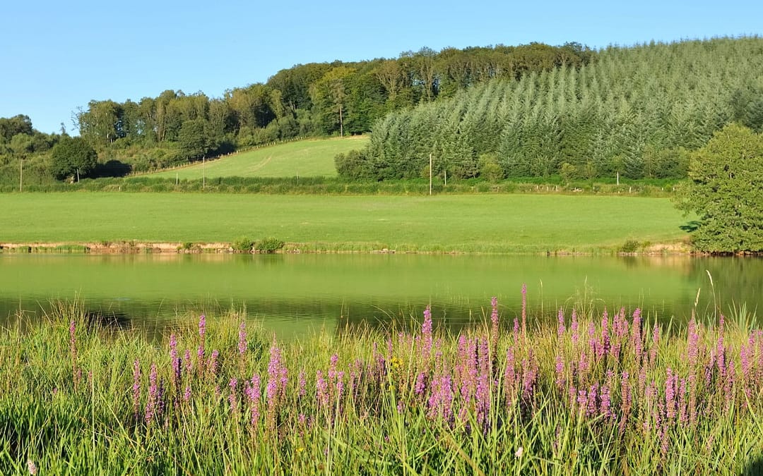 France’s Quiet Wilderness: Inside The Morvan Regional Natural Park