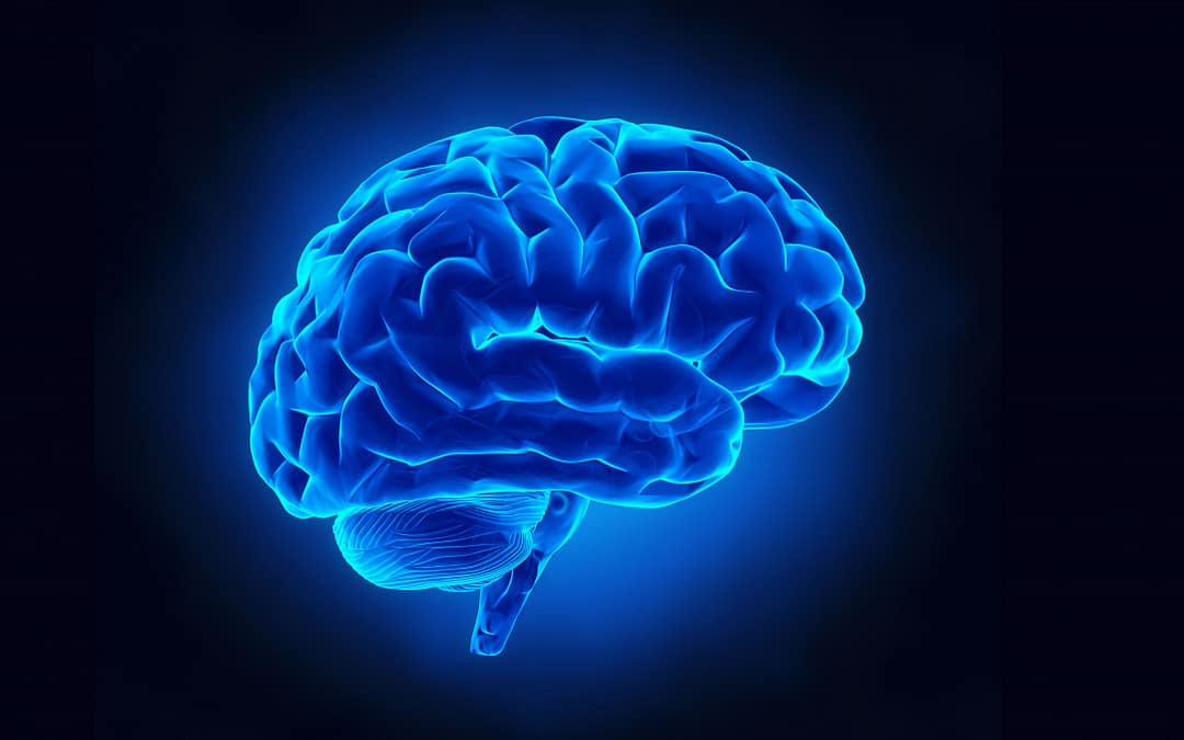 Weakened Gut-Brain Connection May Contribute to Memory Loss