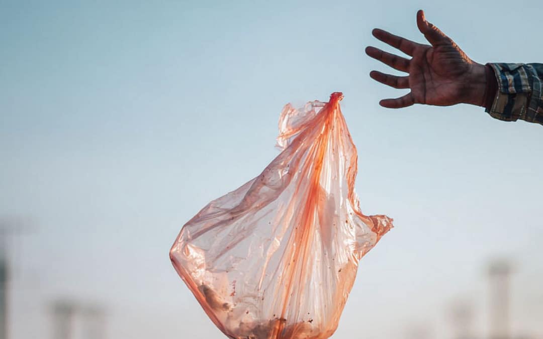 Can Gut Microbes Repair Damage from Microplastics?