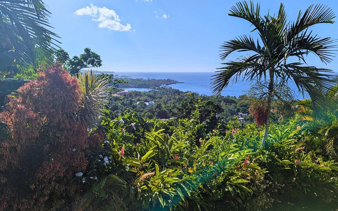 Kingston, the Blue Mountains and the North Coast: A Layered Journey Through Jamaica