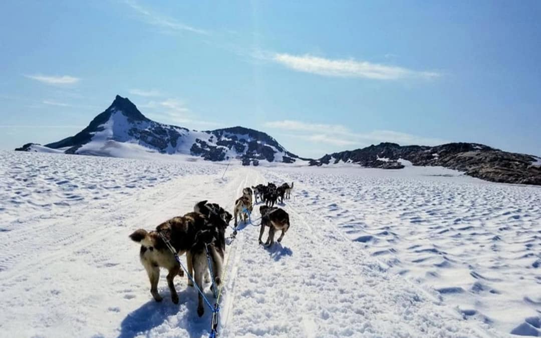 Into the Blue: Glacier Trekking and Dog Sledding on an Alaska Cruise