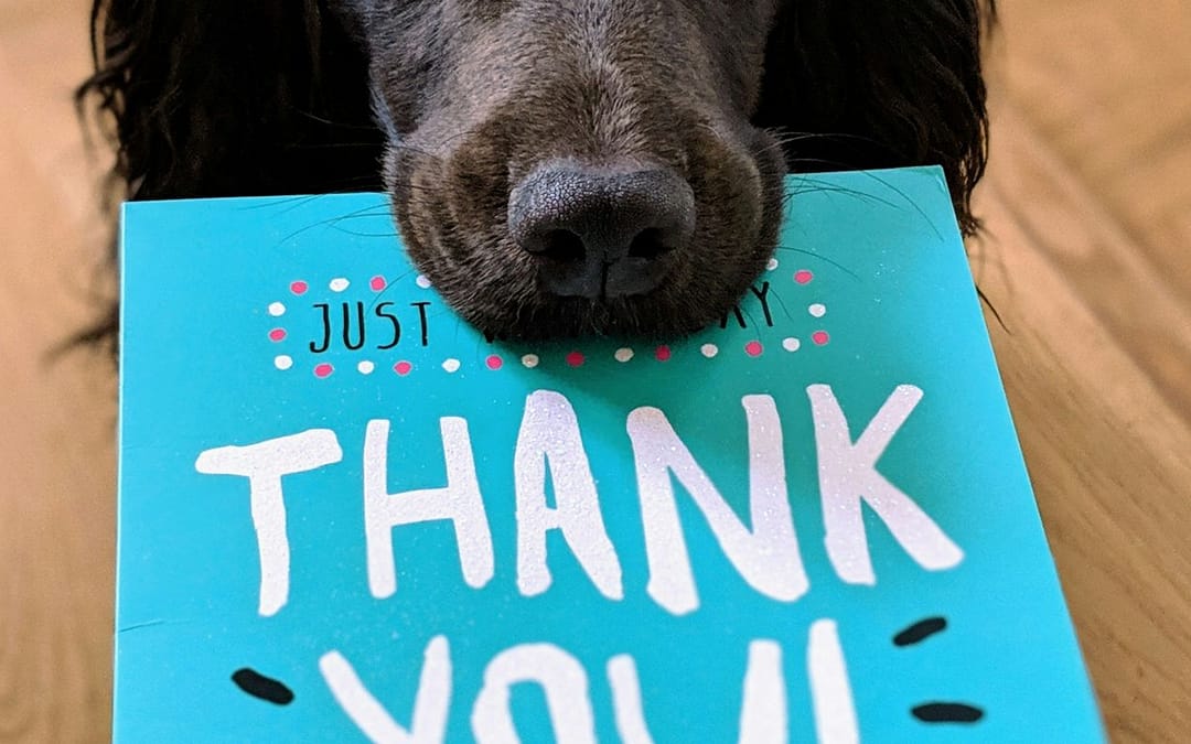 What We Get Wrong About Thanking Others