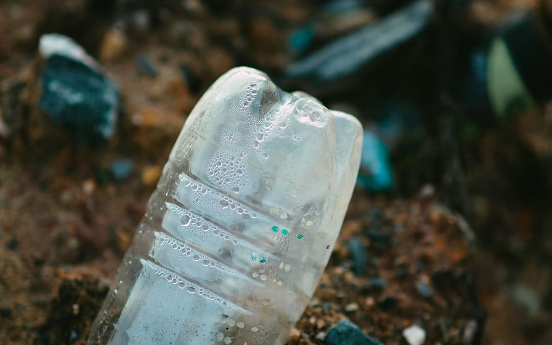 Is a Common Plastic to Blame for Anxiety?