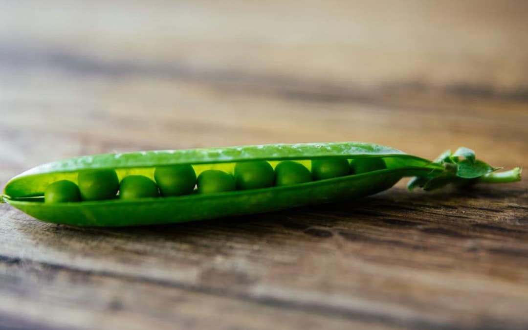 Turns Out You and Your Best Friend Aren’t Two Peas in a Pod