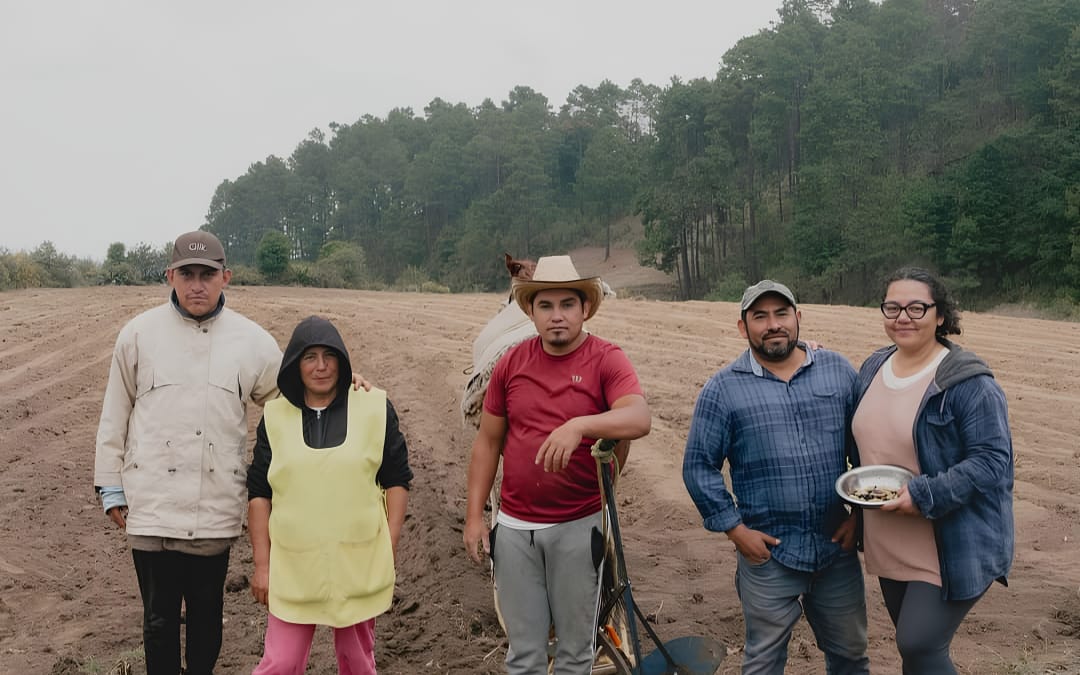 The Ancestral Corn Farmers of Villa del Carbón