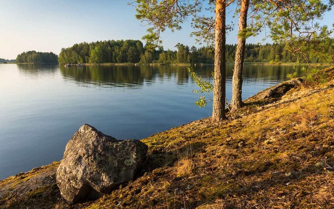 Foraging, Sauna and Sunset Swims: An Escape to Finland’s Lake Saimaa