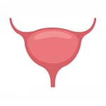 bladder-cancer:-what-you-need-to-know