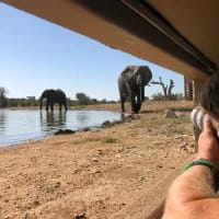 Exploring Makumu Private Game Lodge: A Wildlife Photographer’s Dream 