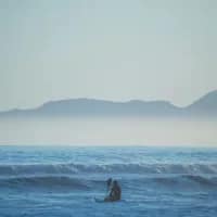 Things to do on Christmas if you’re not celebrating