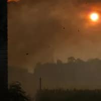 The devastation of the L.A. fires & what caused them to spread so rapidly