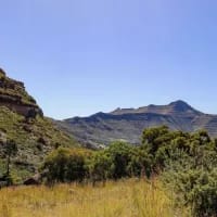 Forest & walking trails in the Free State