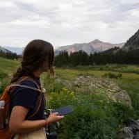 10 Wildlife and plant identification apps you need
