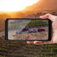 Steenberg Farm unveils augmented reality wine harvest experience