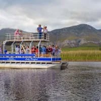 Running rampant in Stanford, the sleeping beauty of the Overberg