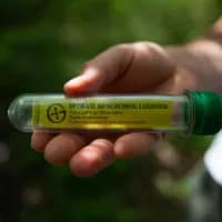 Geocaching 101: A worldwide treasure hunt