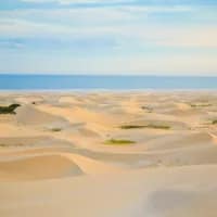 Top spots to go sandboarding in South Africa