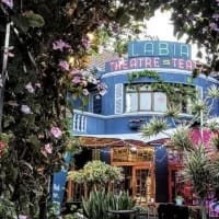 Strike a pose at the 7 most Instagrammable spots in Cape Town