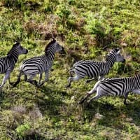 Exploring natural beauty in the KwaZulu-Natal province